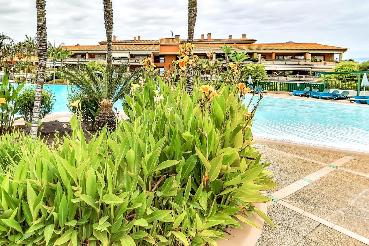 Piscinas Del Teide Apartment Puerto de la Cruz  Exterior photo